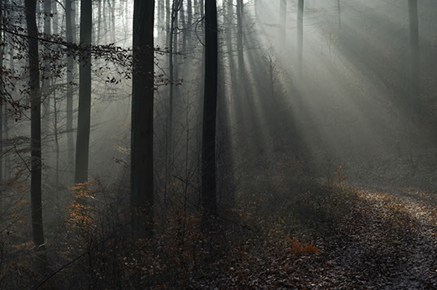Featured Image