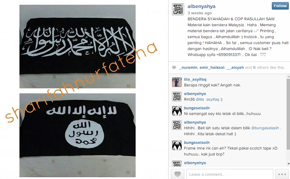 ISIS flags