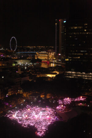 Attendees form a giant pink dot in Hong Lim Park on 13 June. Photo courtesy of Pink Dot.