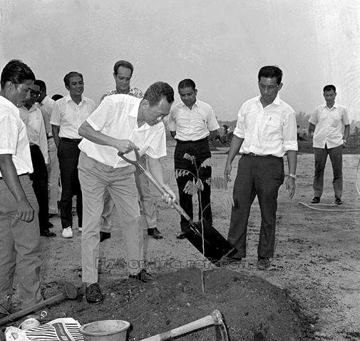 pm lee kuan yew plant a raintree sapling at east coast park