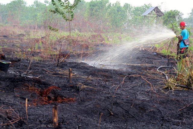 Extinguishing fire in Sub District Kuala Dua, District Sungai Raya, Kubu Raya Regency in West Kalimantan / photo: antaranews.