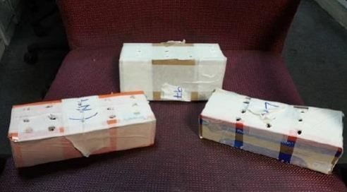 Box with the bird hidden beneath the carpet of the front passenger seat (Source : ICA).