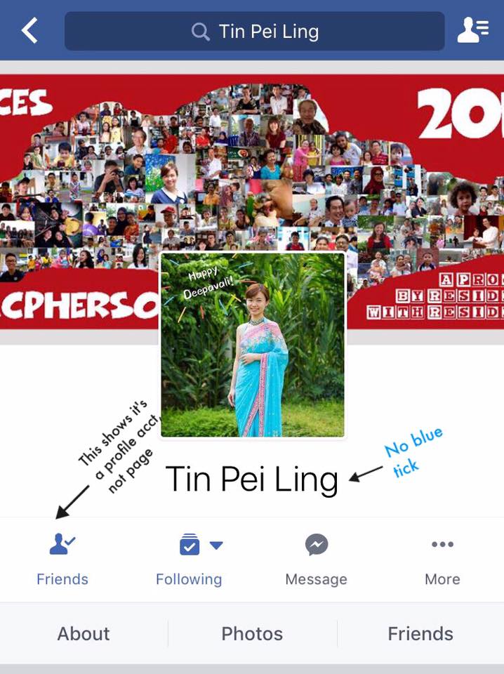 Source : MP Tin Pei Ling Facebook page.