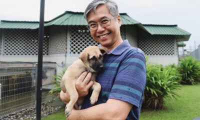 SPCA Walter Leong